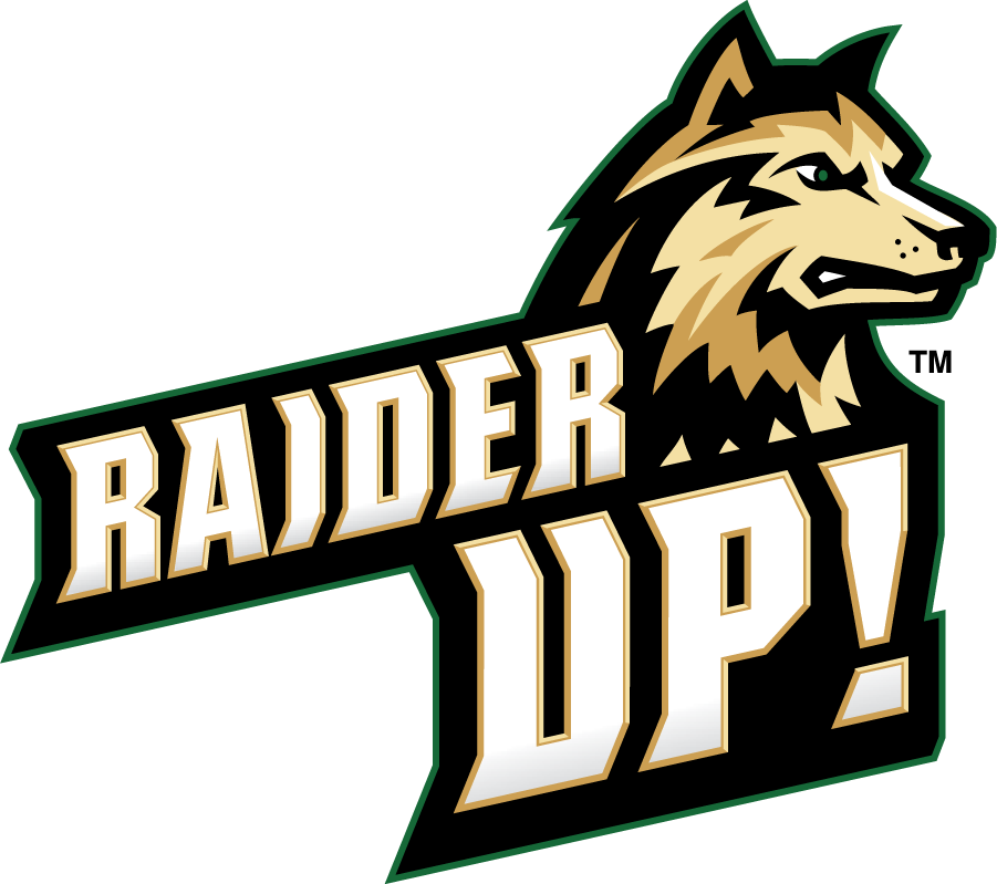 Wright State Raiders 2017-Pres Secondary Logo diy iron on heat transfer